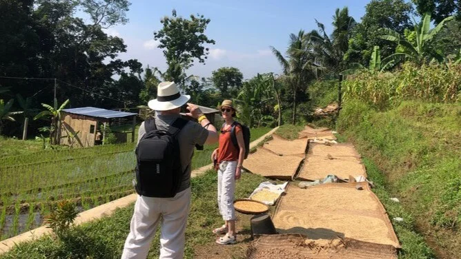 Geführtes Trekking-Erlebnis auf der Java-Reisterrasse