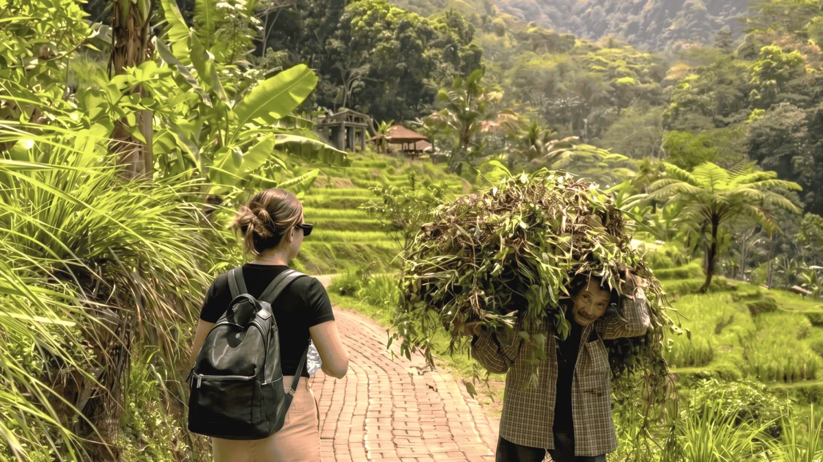 Teras Sawah Selogriyo dan Temple Nature Walk