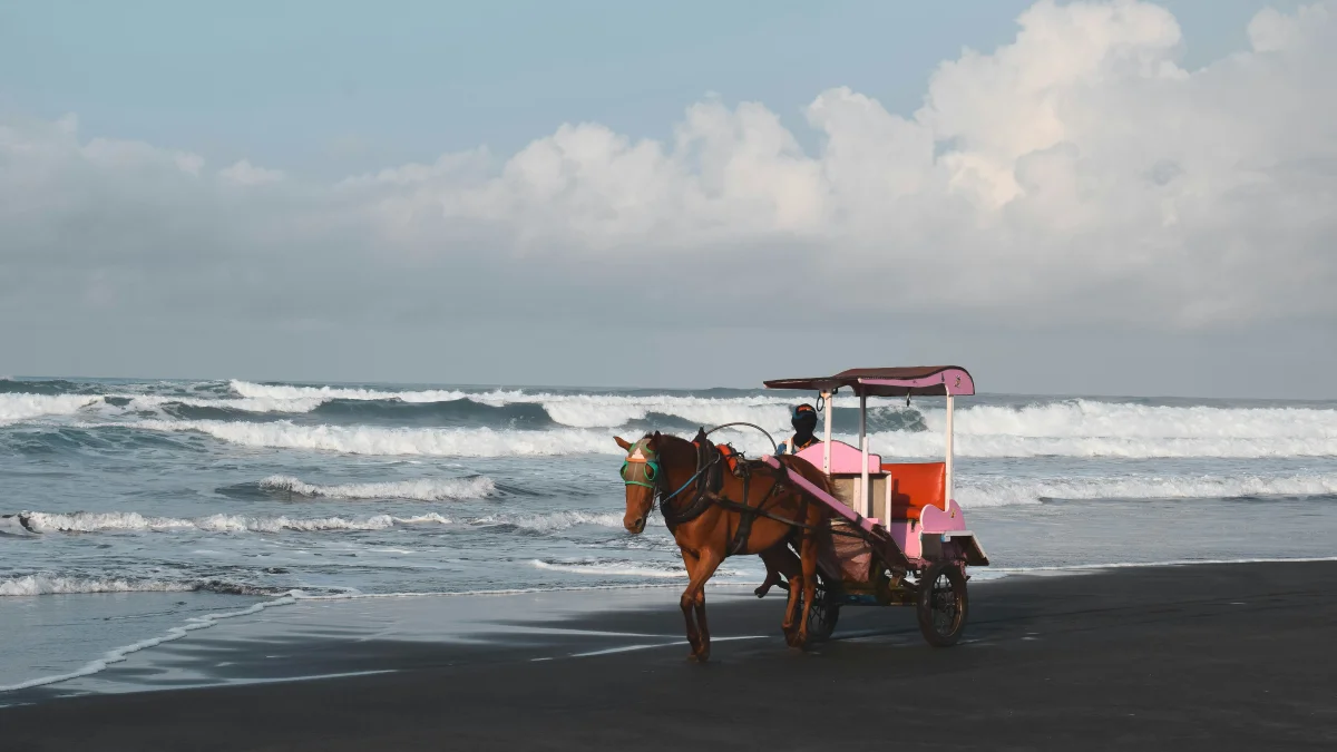 Ultimate South Java Coastal Travel Guide: Best Beaches & Views ...