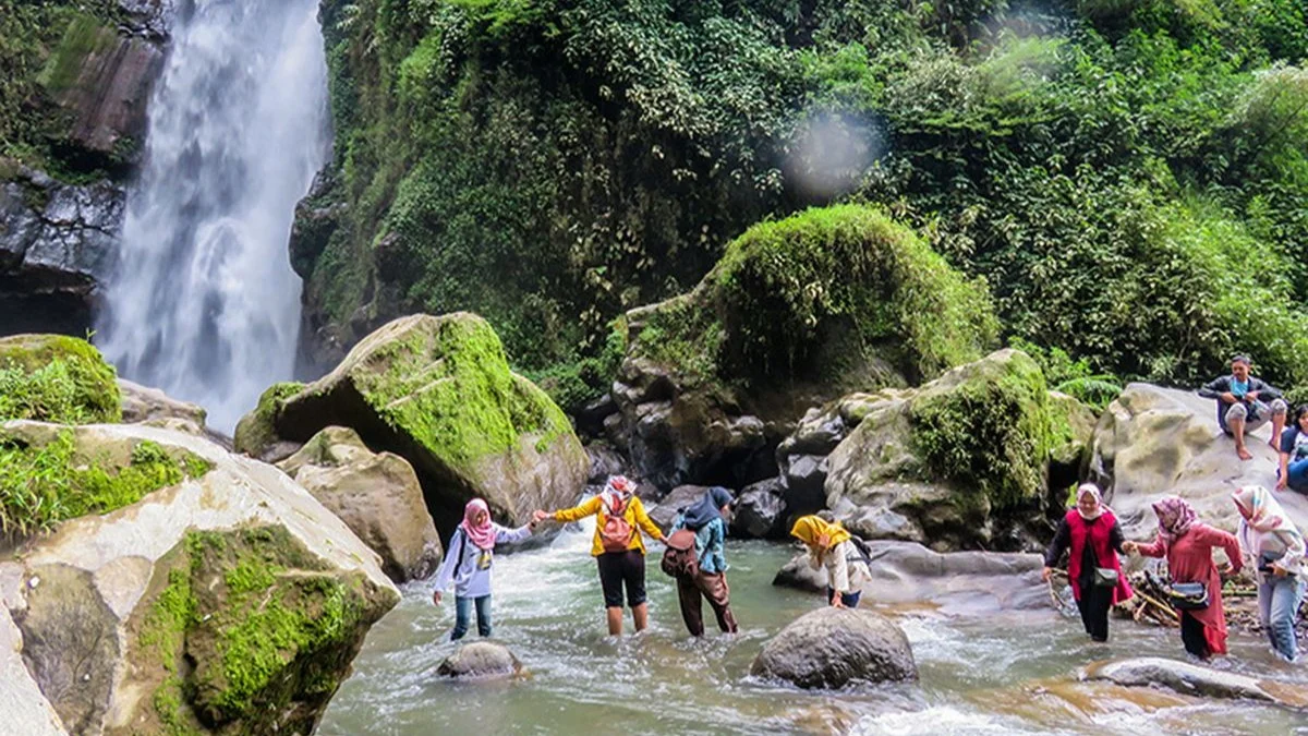 Selogriyo 传统梯田徒步和隐藏瀑布探索