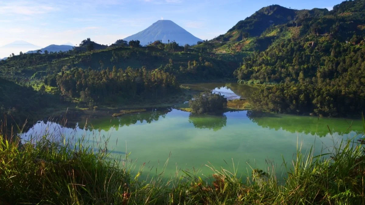 Dieng Plateau Highland Golden Sunrise & Borobudur Temple Private Tour