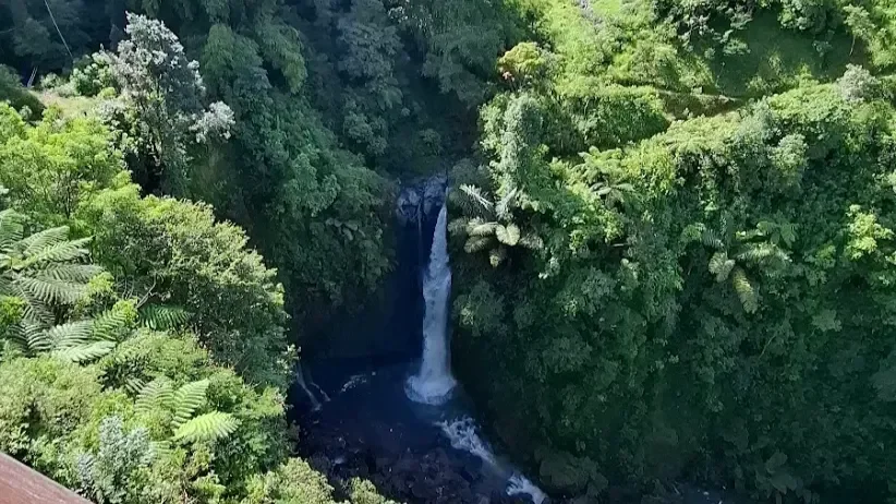 Selogriyo 传统梯田徒步和隐藏瀑布探索 - Image 5