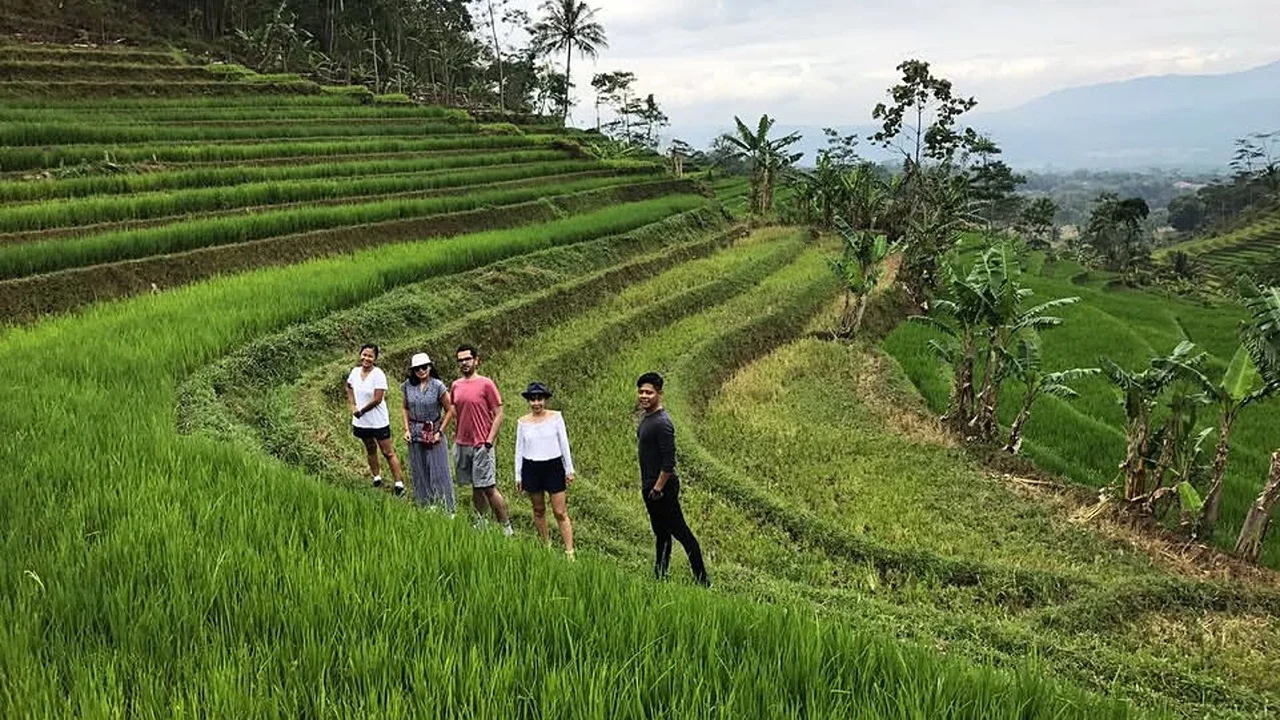 Selogriyo Rice Terrace Trek and Borobudur Temple Private Tour with Climb-up Access