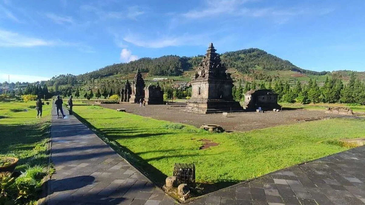 Dieng Plateau Highland Golden Sunrise & Tea Plantation Private Tour - Image 5