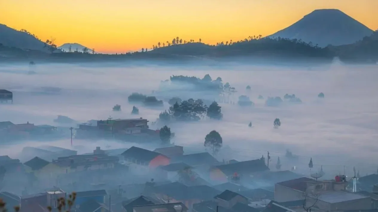 Dieng Plateau Highland Golden Sunrise & Borobudur Temple Private Tour