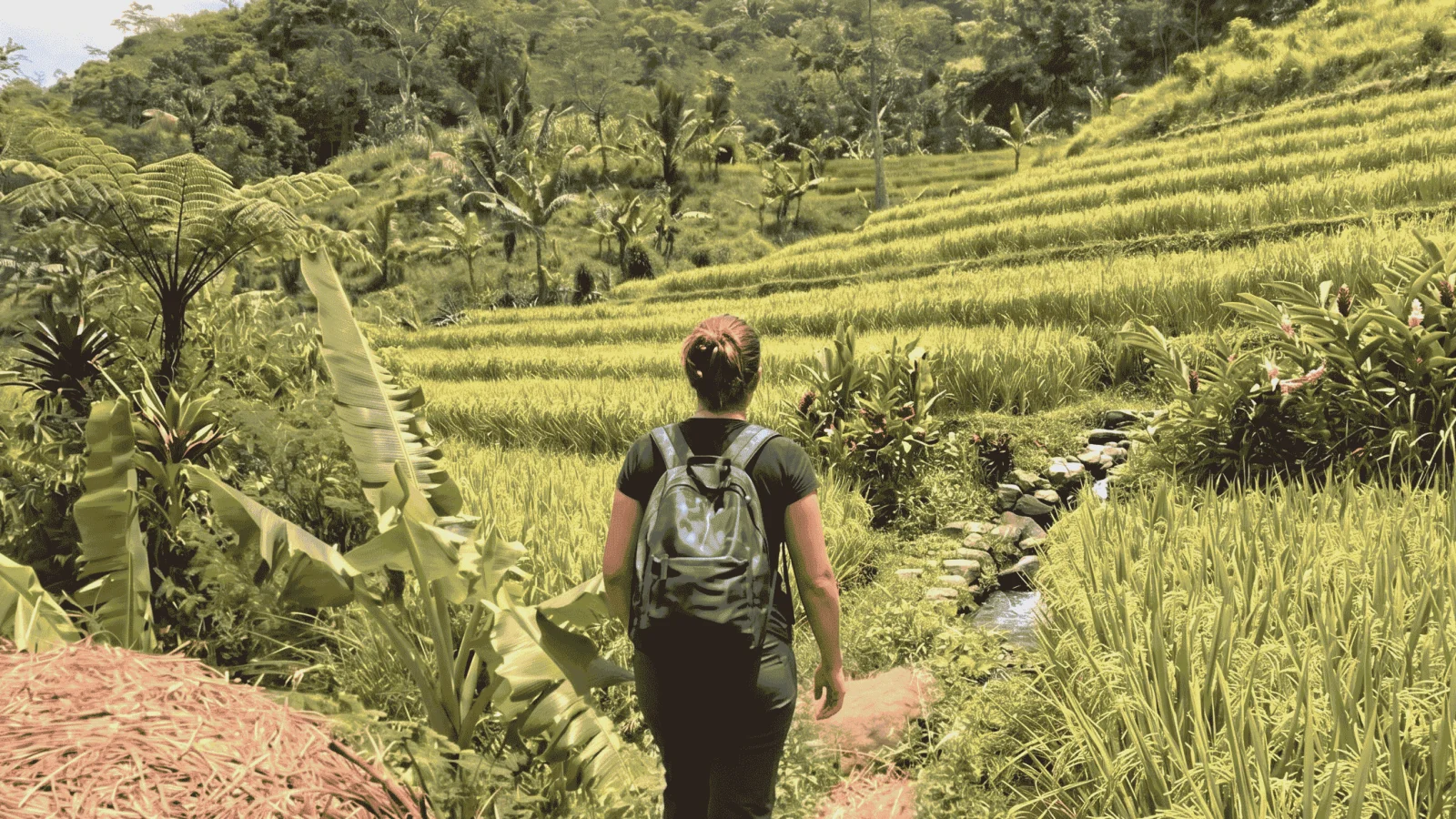 Selogriyo 传统梯田徒步和隐藏瀑布探索