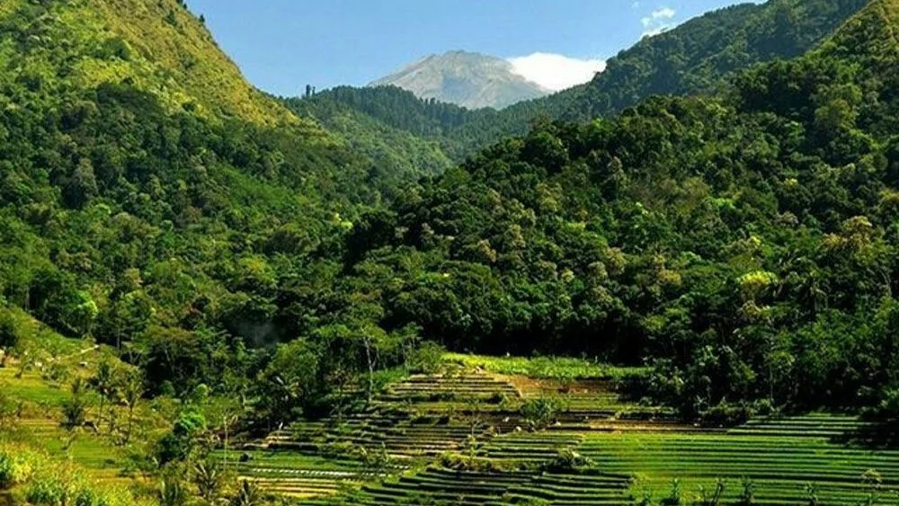 塞洛格里约寺 Tour Packages and Travel Destinations in Indonesia