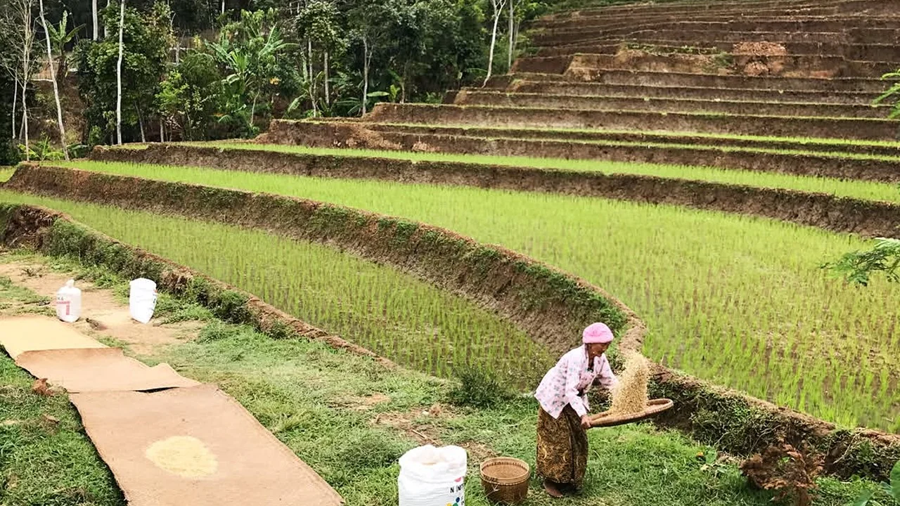 Selogriyo Temple Rice Terrace and Elo River Rafting Guided Tour - Image 12