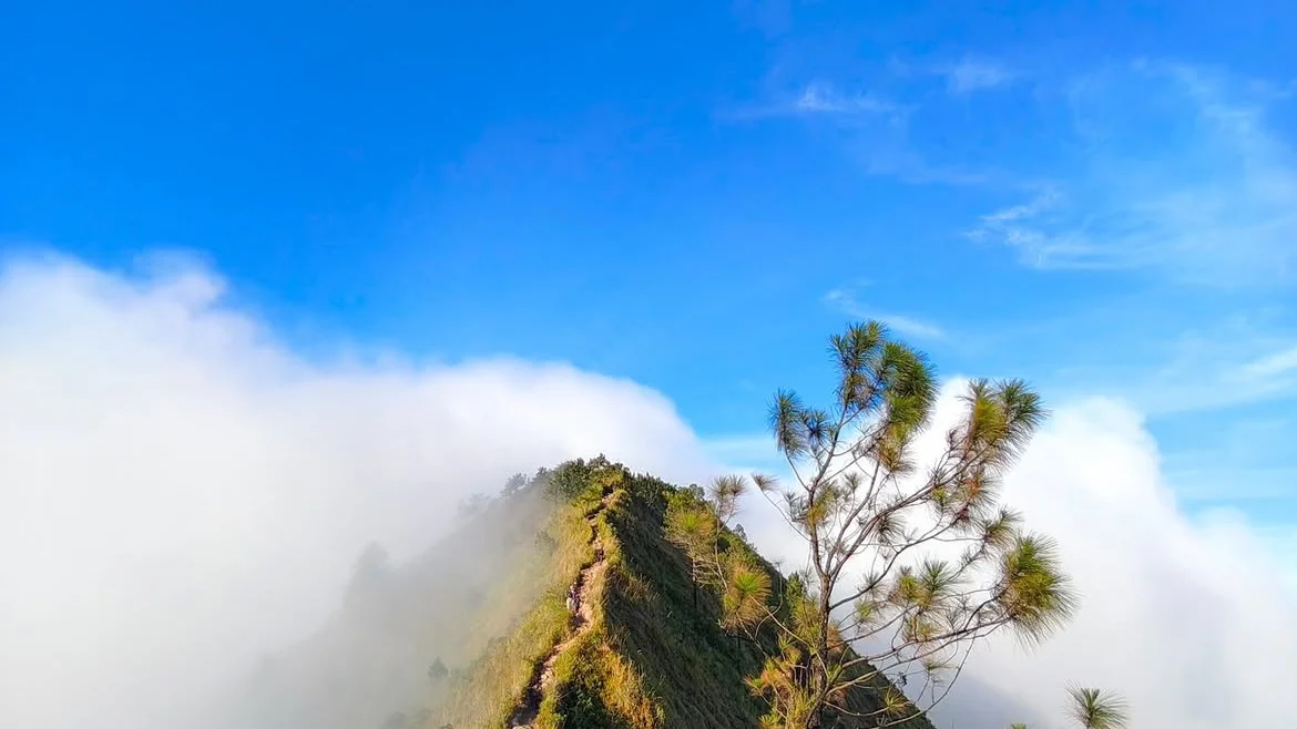 Mount Andong Sunrise or Day Trekking Tour with Guide - Image 5