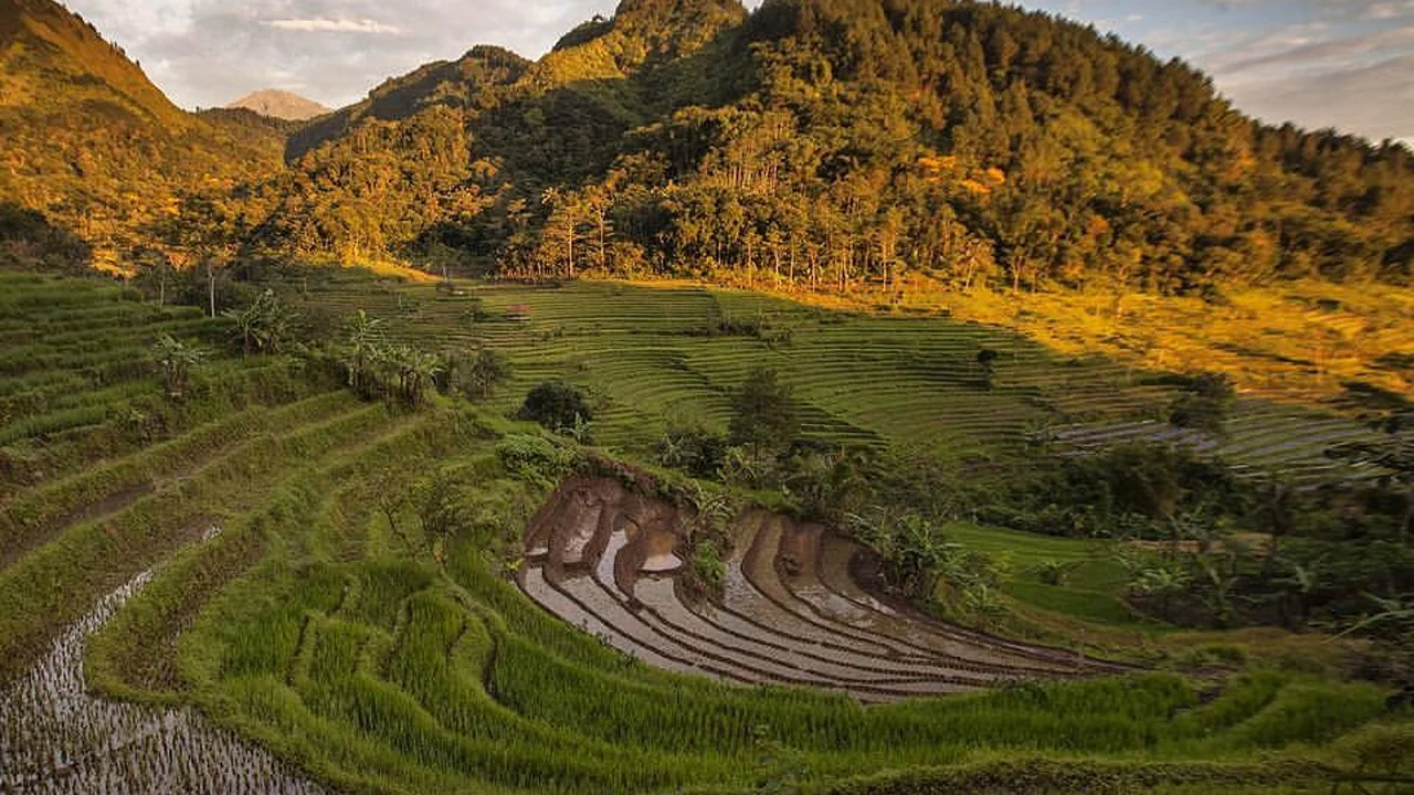 Selogriyo Temple Rice Terrace and Elo River Rafting Guided Tour