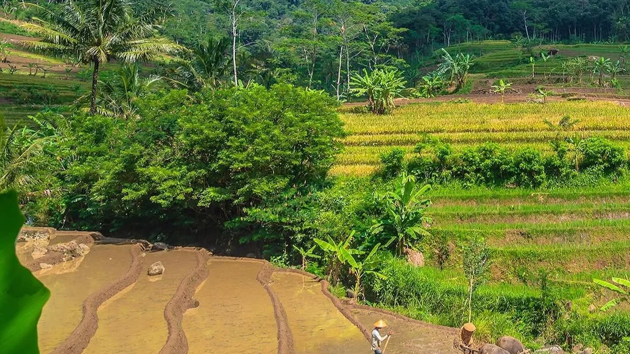 Selogriyo Temple Rice Terrace and Elo River Rafting Guided Tour - Image 6