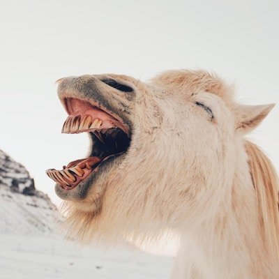 Photo by Review User 5