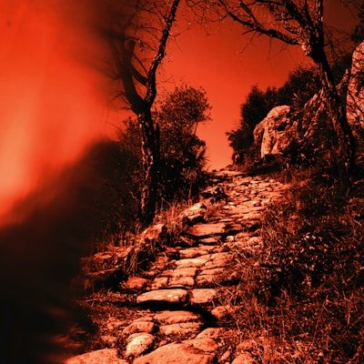 Photo by Review User 5